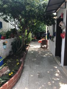 a walkway with a tree and a table in a yard at Tay Pansiyon in Bodrum City