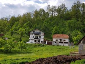 a house on a hill in a field with trees at Eco Camp Dzogaska Vrela in Pljevlja +51 photos