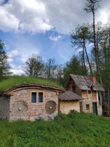an old house with a grass roof on a hill at Eco Camp Dzogaska Vrela in Pljevlja