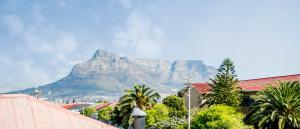 a mountain in the background of a city with palm trees at Oria Guest House in Cape Town
