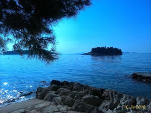 a view of a large body of water with trees at Apartments Prisnac in Pakoštane +45 photos