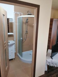 La salle de bains est pourvue d'une douche, de toilettes et d'un lavabo. dans l'établissement Pension Bud, à Onceşti