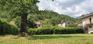 uma árvore no meio de um quintal com casas em Il Capriolo em Tavernelle