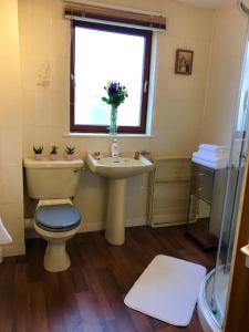 a bathroom with a toilet and a sink and a window at But & Ben in Balloch in Balloch