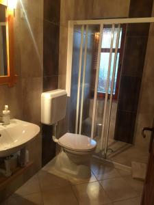 a bathroom with a toilet and a sink at Termálvölgye Vendégház in Demjén +25 photos