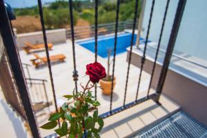 a rose in a vase on a balcony with a pool at Villa Nikola - big terrace apartments in Bol