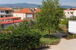un albero in mezzo a un cortile con edifici di Lofts to Let a Kalivia Poligirou