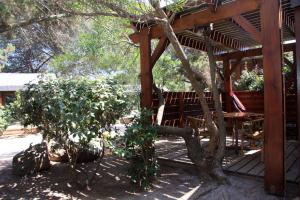 a wooden pergola with a bench and a tree at Résidence Mobydick in Porto-Vecchio