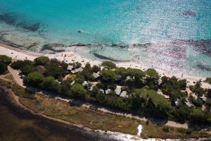 an aerial view of a beach with trees and the ocean at Résidence Mobydick in Porto-Vecchio
