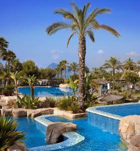a swimming pool with a palm tree in a resort at SH Villa Gadea in Altea