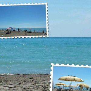 Galeriebild der Unterkunft Agriturismo Greppo All'olivo in Donoratico + 13 Fotos