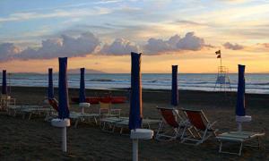 Galeriebild der Unterkunft Agriturismo Greppo All'olivo in Donoratico