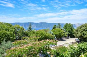 a view of a park with trees and a lake at Apartment Zoja in Pinezici