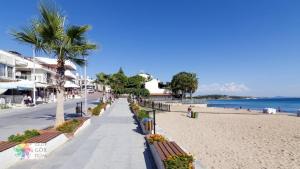 a sandy beach with palm trees and a sidewalk at Seahorse Deluxe Hotel in Didim