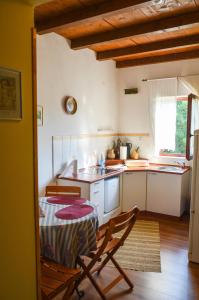 a kitchen with a table and chairs in a room at Apartment Zoja in Pinezici