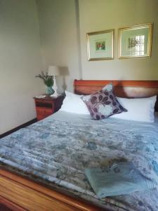 een slaapkamer met een bed met een houten hoofdeinde bij Erin Guesthouse and B&B in Bergville