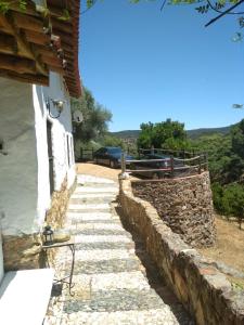 Príroda v okolí of the country house