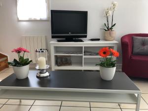 Una sala de estar con un televisor y dos flores en una mesa de café. en La terrasse honfleuraise, en Honfleur