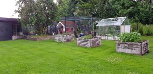 un giardino con una serra e alcune piante in un cortile di Tjørnely a Østervrå
