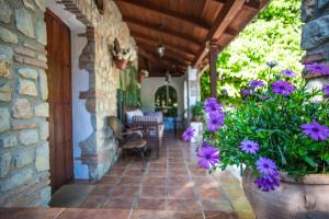 カソルラにあるCasa María Iの鉢植えの紫花の家の玄関