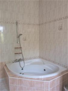 a bath tub with a shower in a bathroom at LE CHEMINARD in Feugarolles