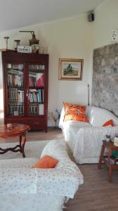 a living room with a couch and a book shelf at UN TETTO NEL CIELO in Canale Monterano