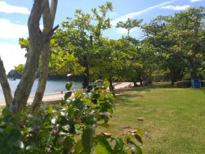um parque junto a uma praia com árvores e água em Hospedagem Lagoinha em Ubatuba