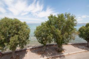 Φυσικό τοπίο κοντά σε αυτό το ξενοδοχείο