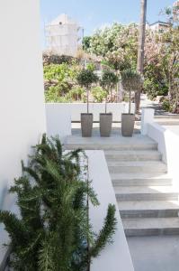 Κήπος έξω από το Nautilus Nontas Hotel