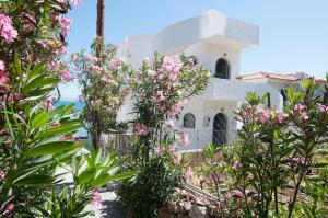 Κήπος έξω από το Nautilus Nontas Hotel