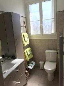 ein Badezimmer mit Toilette und Waschbecken und einem Fenster in der Unterkunft appartement de charme en plein coeur du centre ville de Compiègne in Compiègne