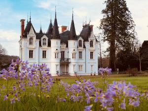 an old castle with purple flowers in the foreground at Château de la Motte in Noailly
