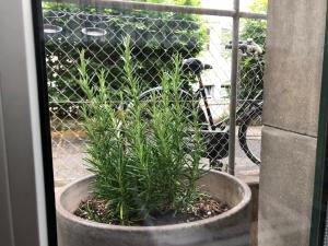 Φωτογραφία από το άλμπουμ του Ferienzimmer Tübingen σε Τύμπινγκεν