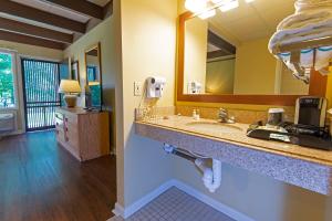 a bathroom with a sink and a large mirror at Greenbo Lake State Resort Park in Argillite
