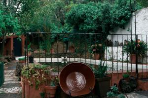 Vonkajšia záhrada v ubytovaní La Toscana