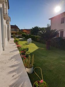 Zahrada ubytování Villa Alberta Hotel