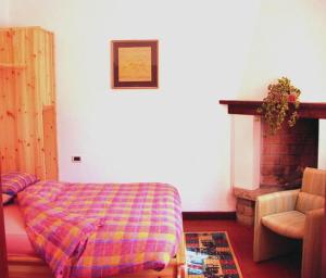 a bedroom with a bed with a plaid blanket and a fireplace at Agriturismo Ai Gradoni in Teolo