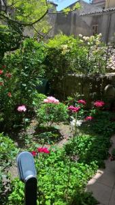 Zahrada ubytování B&B Fleurs