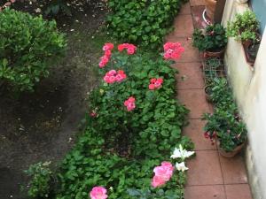 Zahrada ubytování B&B Fleurs