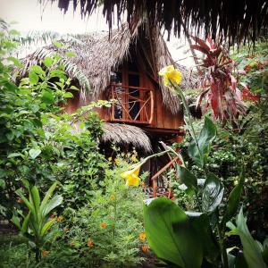 a house with a thatch roof in a garden at La Urraca Loca Hostel in Balgue