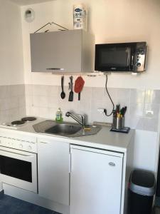 uma pequena cozinha com um lavatório e um micro-ondas em Appartement vue mer em Villers-sur-Mer