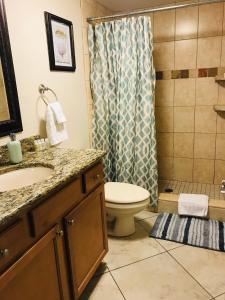 a bathroom with a toilet and a sink and a shower at Treasure Island Beach, FL Waterfront Condo in St. Pete Beach