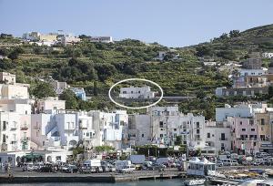 a group of white buildings on a hill with a harbor at Renato Canalone in Ponza +2 photos