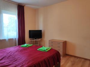 a bedroom with a bed and a tv and a dresser at Apartments Elina Viktorijas Street in Jūrmala