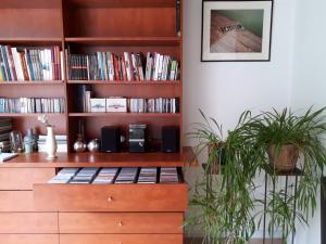 une étagère remplie de livres avec deux plantes en pot dans l'établissement Saillant, à Ypres