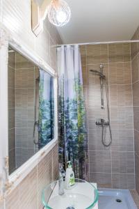 uma casa de banho com um lavatório e um chuveiro em Verde de Bucovina em Fundu Moldovei