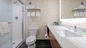 een badkamer met een toilet, een wastafel en een spiegel bij Holiday Inn Panama City, an IHG Hotel in Panama City