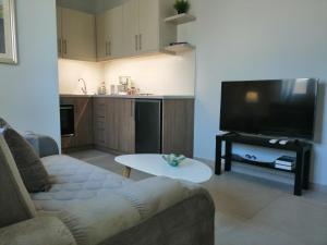 Televízia a/alebo spoločenská miestnosť v ubytovaní Personal Holiday Homes