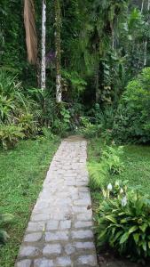 a stone path in the middle of a garden at Toca da Onça in Penedo