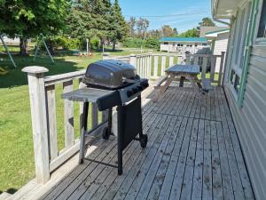 a grill on a deck with a picnic table at Stanhope Cottages in Stanhope